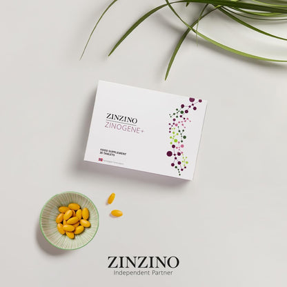 ZinZino ZinoGene+ DNA & Zellschutz – Fucoidan, Vitamin C & Zink Tabletten