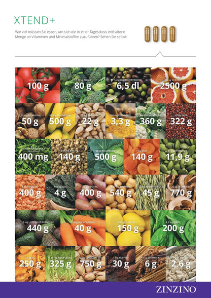 Zinzino Xtend+ Multivitamin & Mineralstoff-Komplex für Energie & Immun